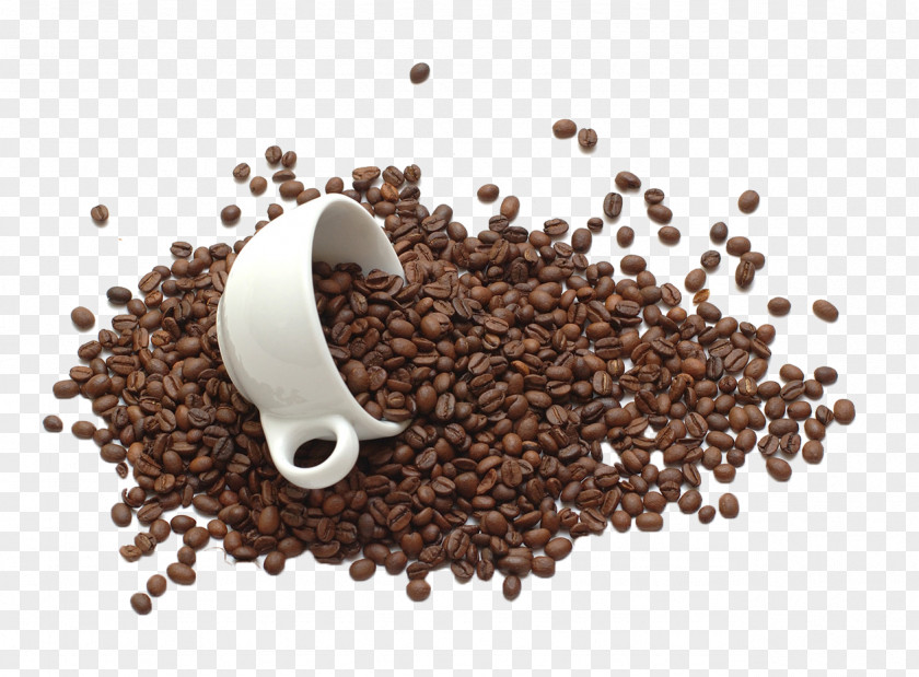 Coffee Beans Bean Tea Sugar Food PNG