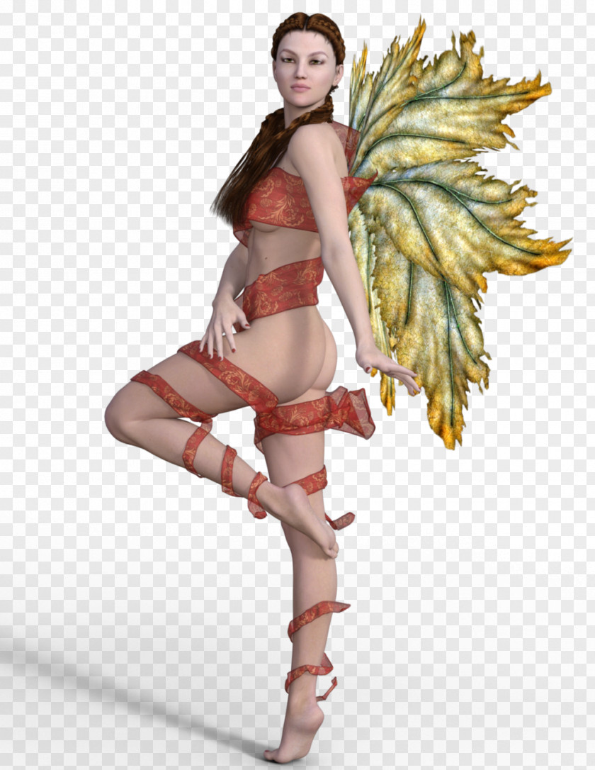 Fairy Costume PNG