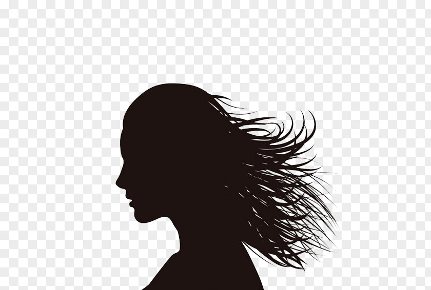 Long-haired Woman In Profile Silhouette Female Drawing PNG