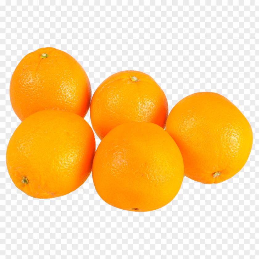5 Oranges Fruit Clementine Tangerine Mandarin Orange Tangelo Valencia PNG