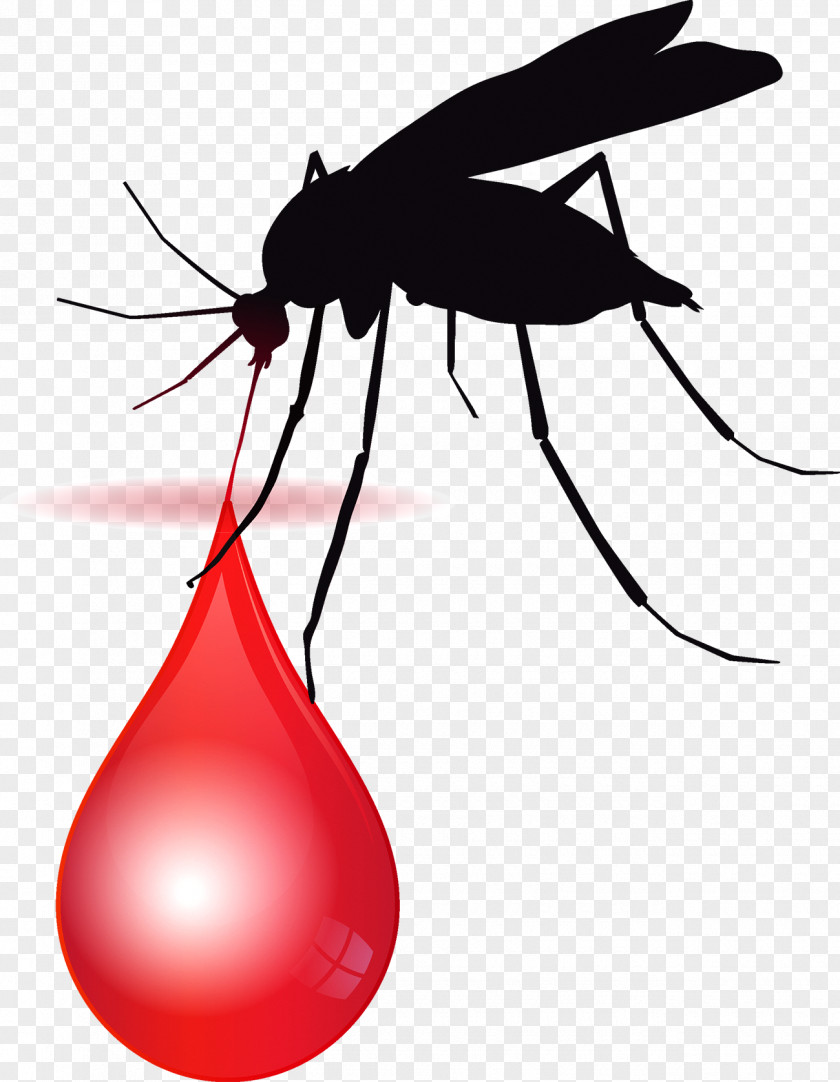 Bloodsucking Mosquitoes Africa Le Paludisme Malaria Vector Medicine PNG