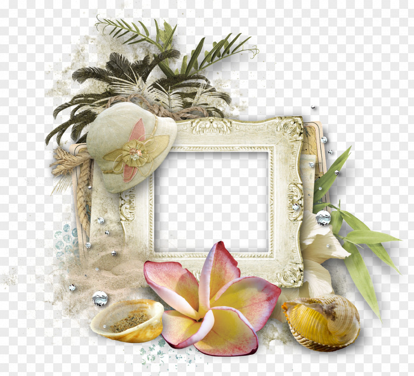 Delicious In The Sea Picture Frames Beach Animation Clip Art PNG