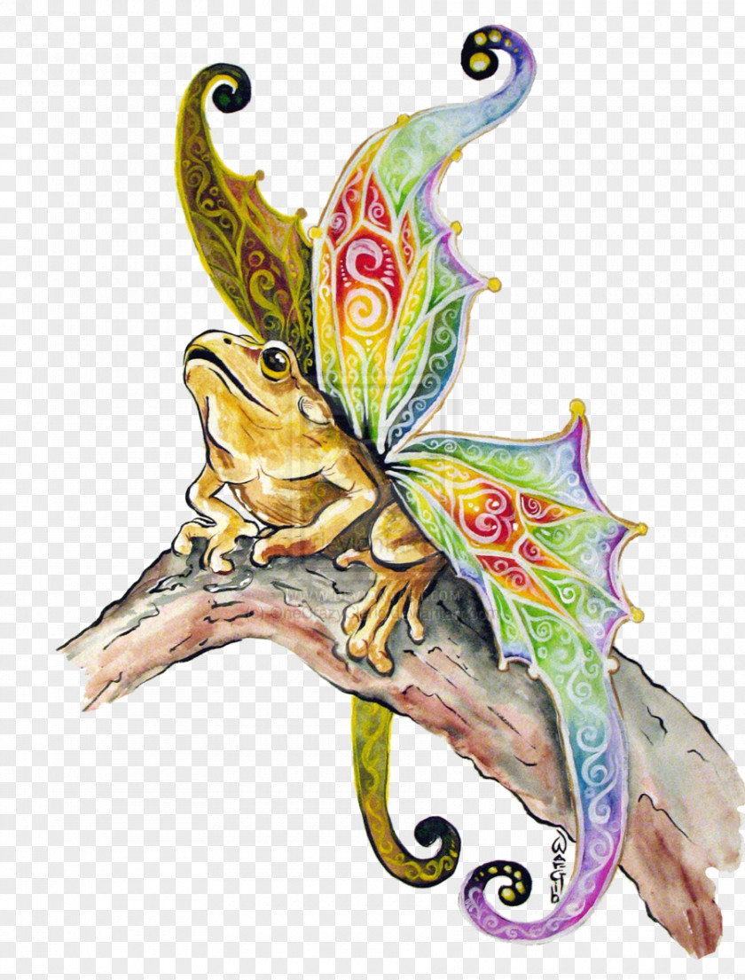Frog Fairy Butterfly Art PNG