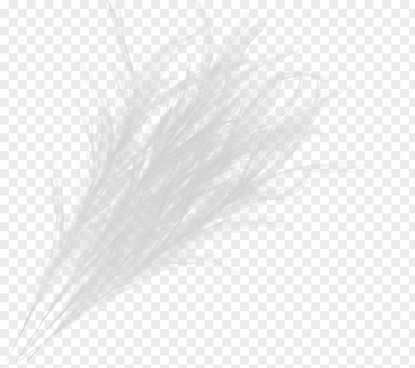 George Michael Feather White PNG