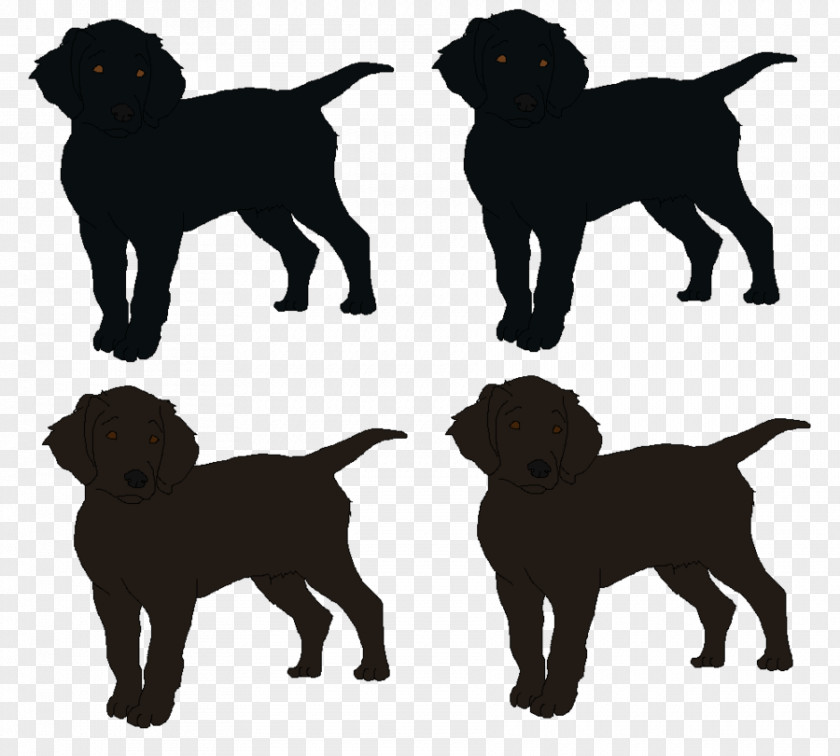 Labrador Dog Retriever Flat-Coated Puppy Breed Companion PNG