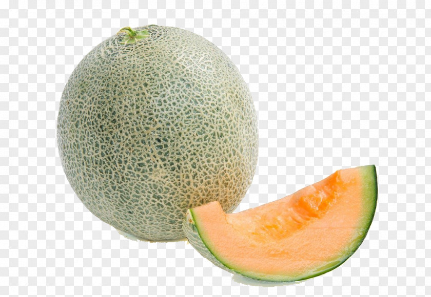 Textured Hami Melon Cantaloupe Honeydew PNG