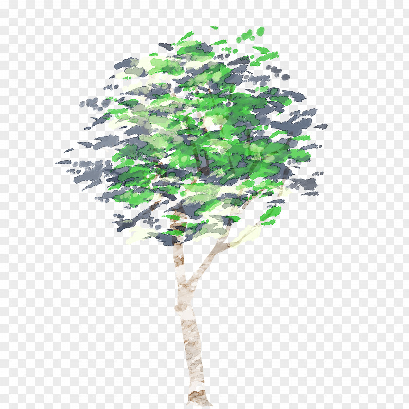 Tree Watercolor Painting Raw Image Format PNG
