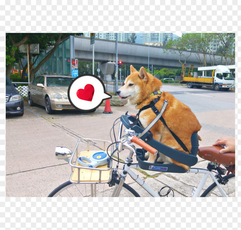 Bicycle Dog Breed Shiba Inu Seat Leash PNG