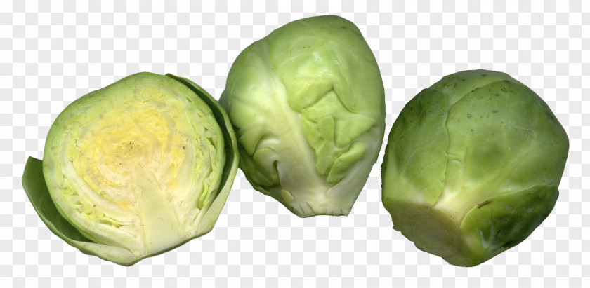 Brussels Sprouts Cut Cruciferous Vegetables Cabbage PNG