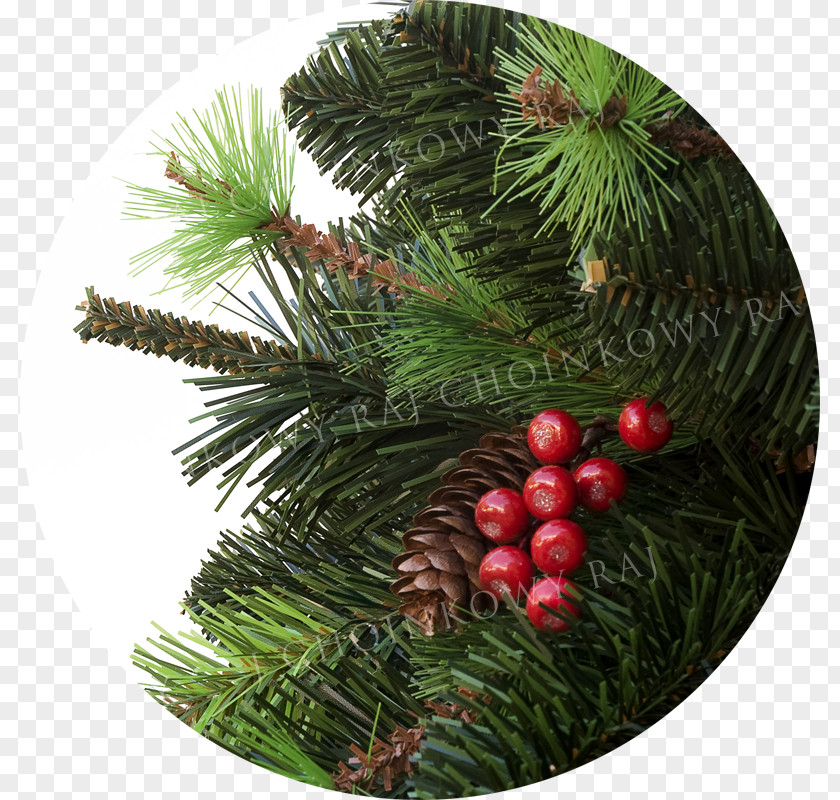 Christmas Pine Ornament Spruce Fir PNG