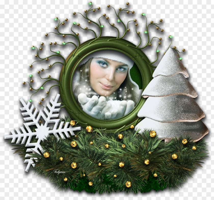 Christmas Tree Ornament Ded Moroz Photography PNG