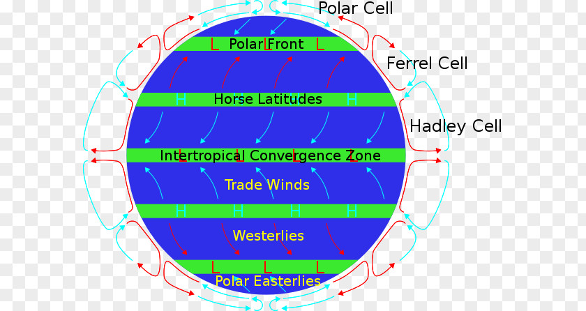 European Wind Stereo Subtropical Ridge Doldrums Hadley Cell Latitude Prevailing Winds PNG