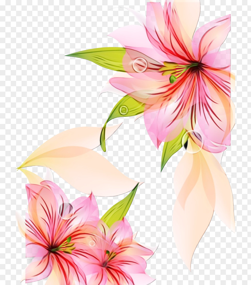 Flower Lily Vector Graphics Image Design PNG