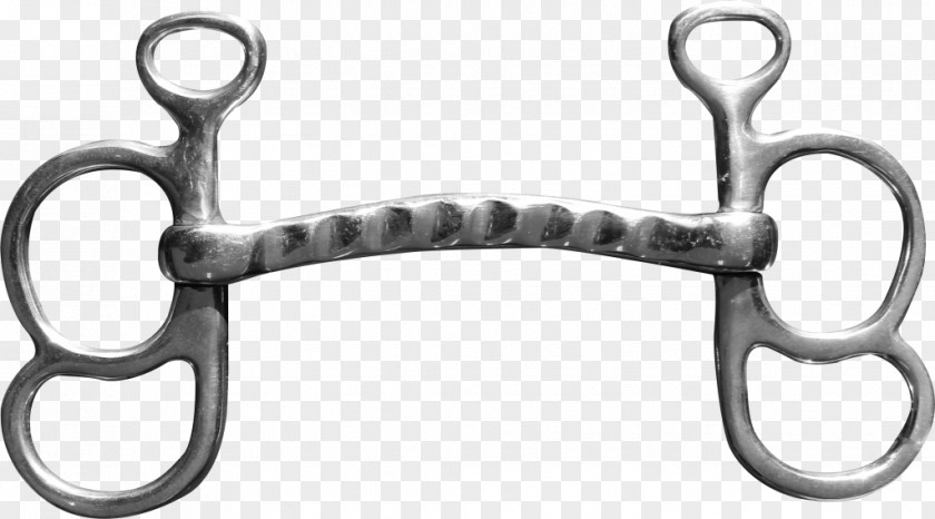 Horse Snaffle Bit Sweet Iron Curb Chain PNG