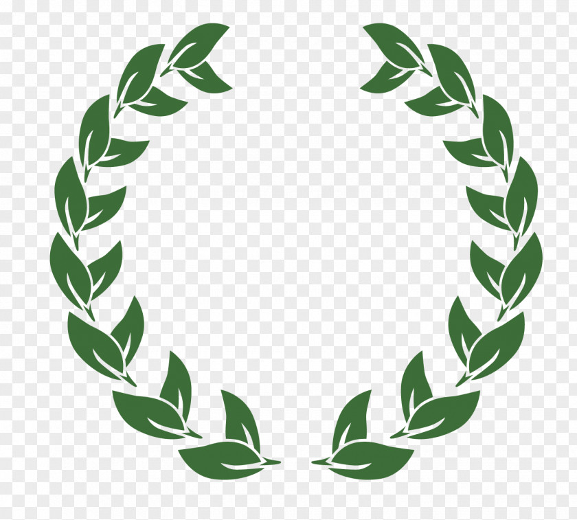Olive Branch Vector Material United States Logo Graphic Design Laurel Wreath PNG