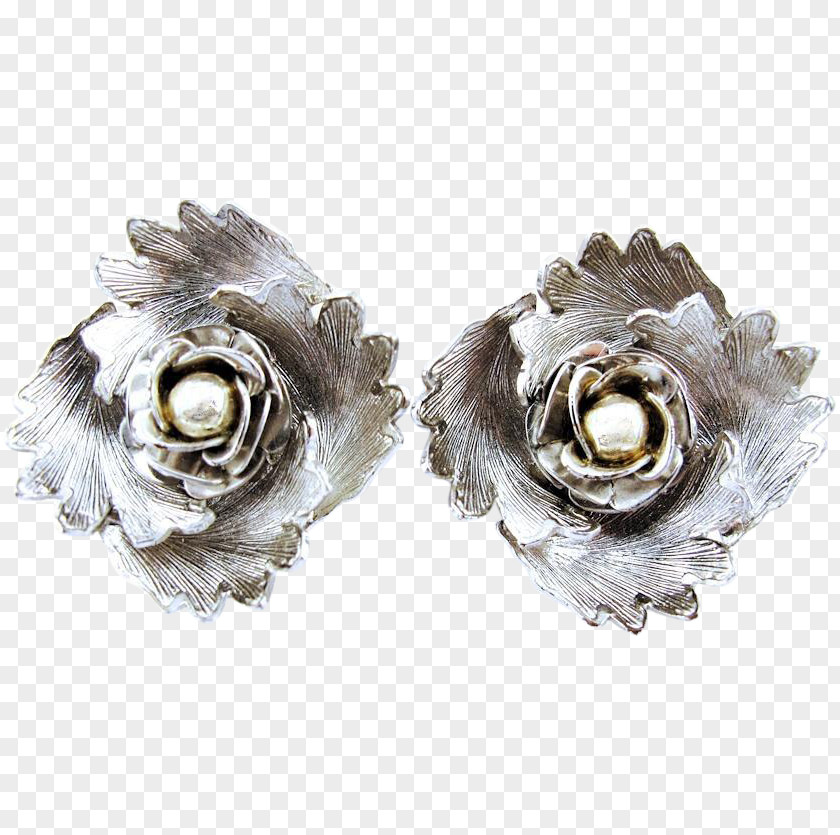 Scatter Flowers Earring Jewellery Silver Brooch Necklace PNG