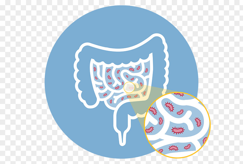 Small Intestinal Bacterial Overgrowth Elemental Diet Dieting Crohn's Disease PNG