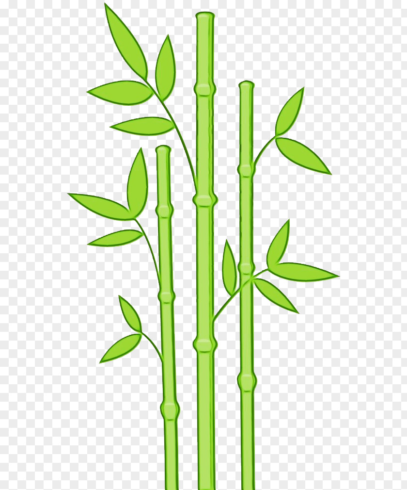 Twig Tree Family Background PNG