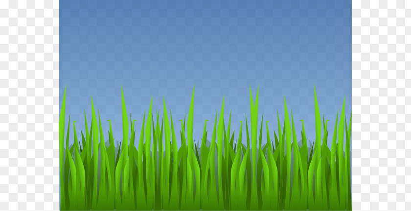 Animated Grass Cliparts Lawn Garden Clip Art PNG