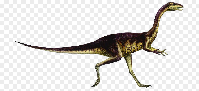 Dinosaur Carnivores: Hunter Elaphrosaurus Size Spinosaurus Giganotosaurus PNG