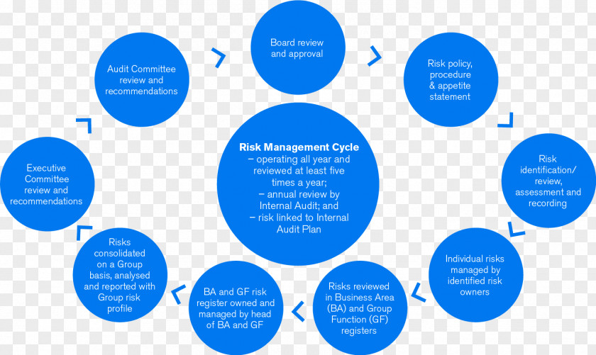 Organization Risk Management Plan Internal Audit PNG