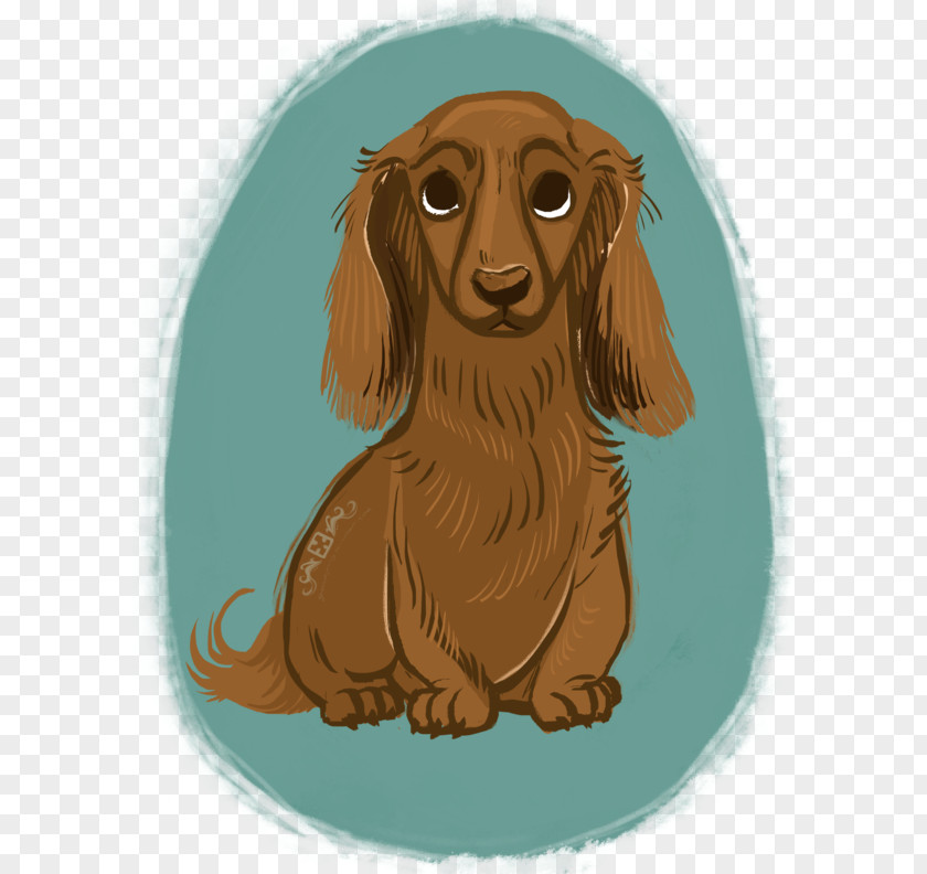 Puppy Dog Breed Dachshund Companion Drawing PNG
