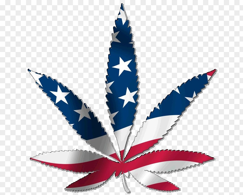 United States Legality Of Cannabis Medical Legalization PNG