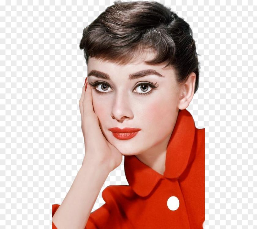 Actor Audrey Hepburn Eye Liner Cosmetics Color PNG