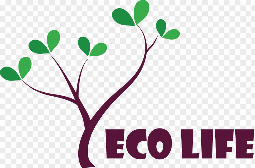 Eco Life Tree PNG