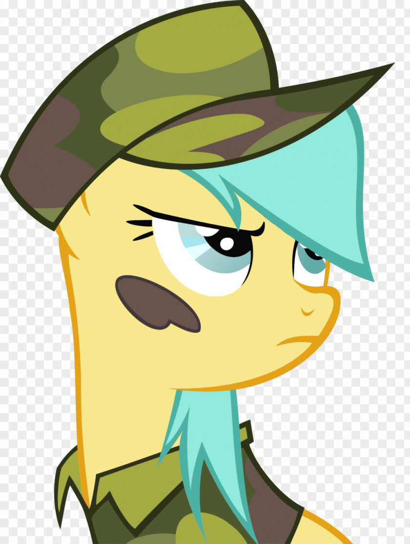 My Little Pony Rainbow Dash Pinkie Pie Multi-scale Camouflage PNG