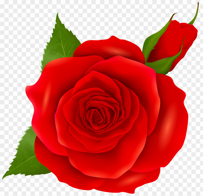 Red Rose And Bud Transparent Clip Art Pink PNG