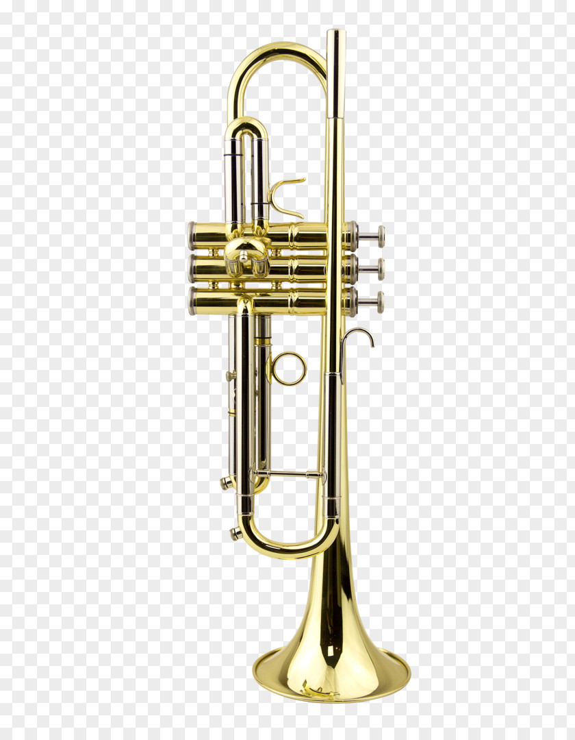 Trumpet Flugelhorn French Horns Saxhorn Musical Instruments PNG