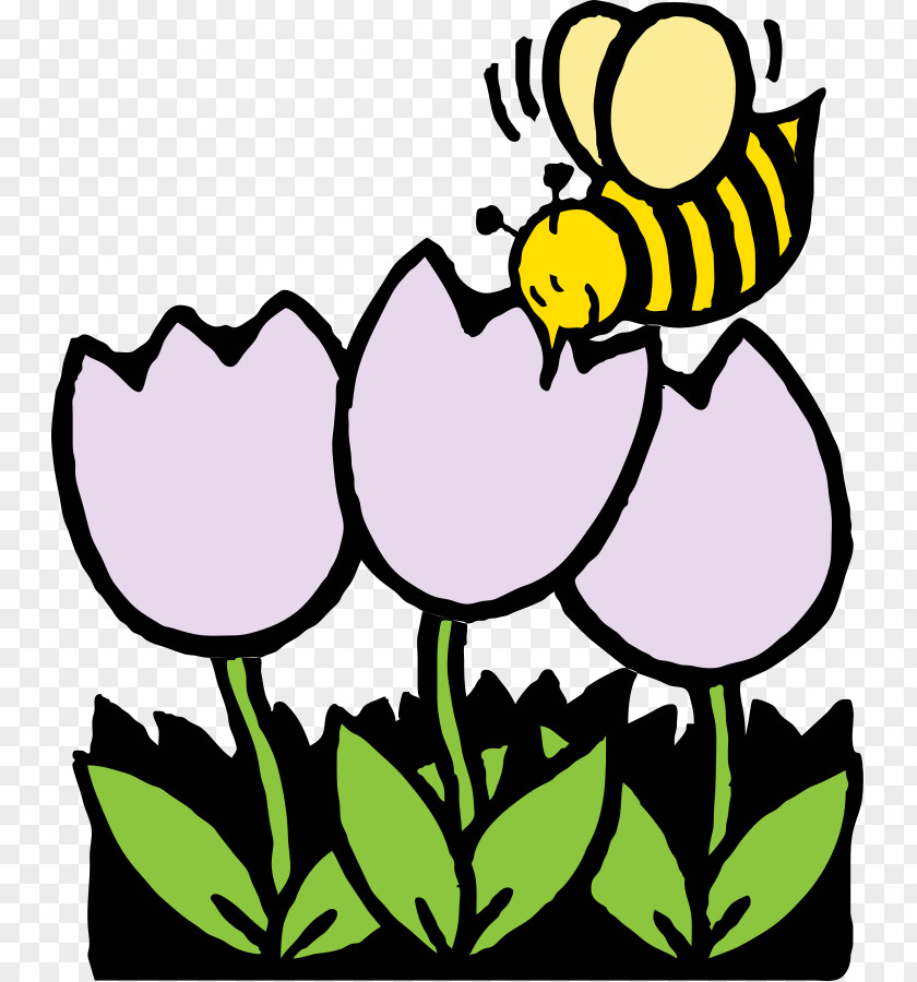 Honeycomb Pictures Honey Bee Flower Clip Art PNG