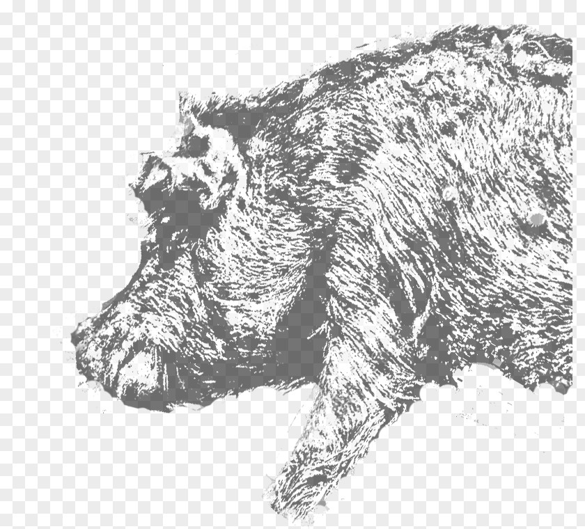 Mount Olympus Wild Boar Farma Fotiadi S.A. PNG