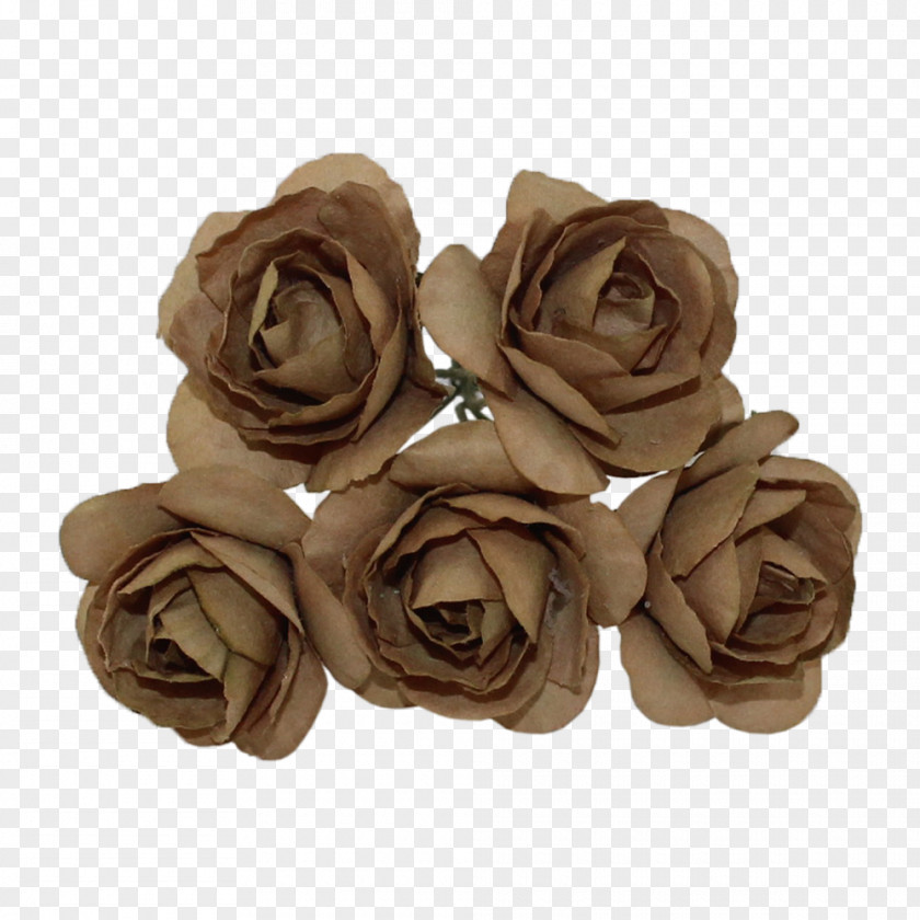Mulberry Garden Roses Cut Flowers Rosaceae PNG