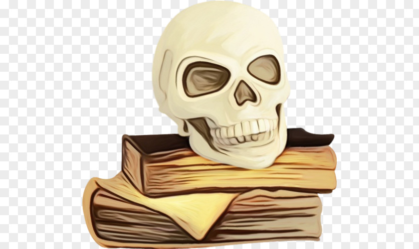 Skull Art PNG