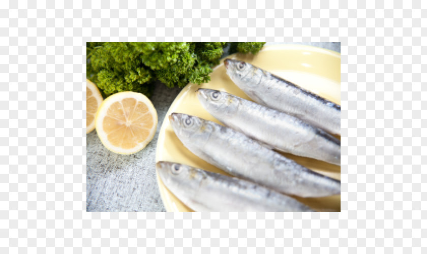 Blood Pacific Saury Anticoagulant Omega-3 Fatty Acids Food PNG