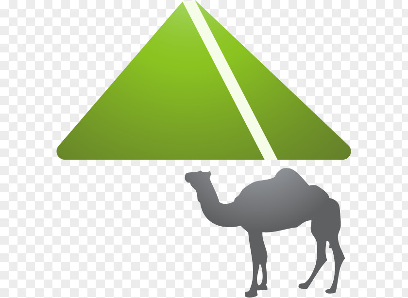 Camel Cartoon Icon PNG