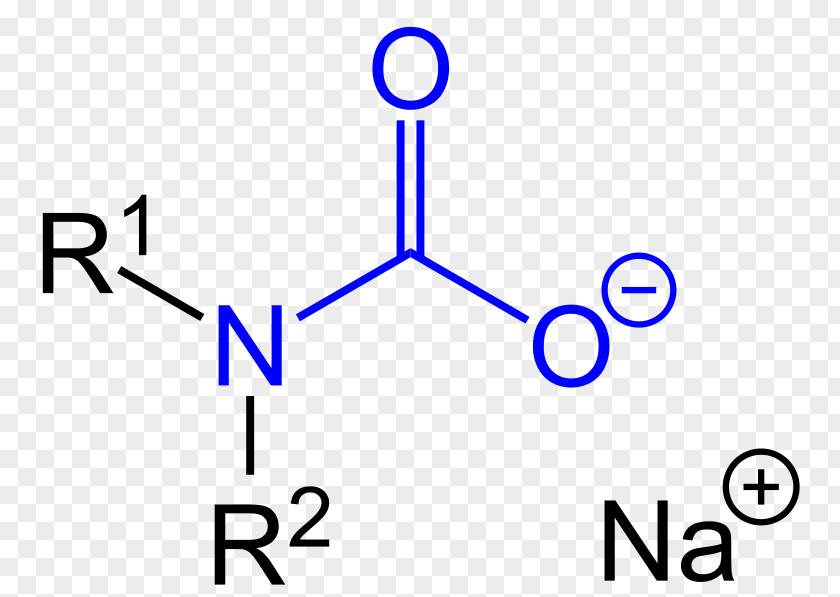 Carbamate Methyl Group Molecule Acetylcholine Chemistry Acid PNG