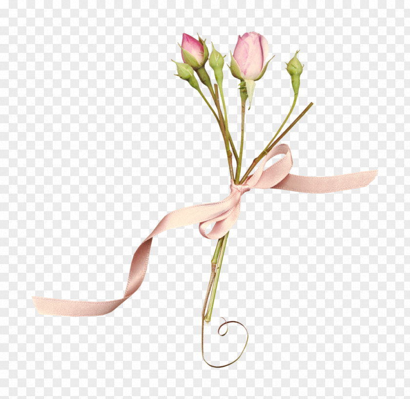 Flower Floral Design Cut Flowers Pink Garden Roses PNG