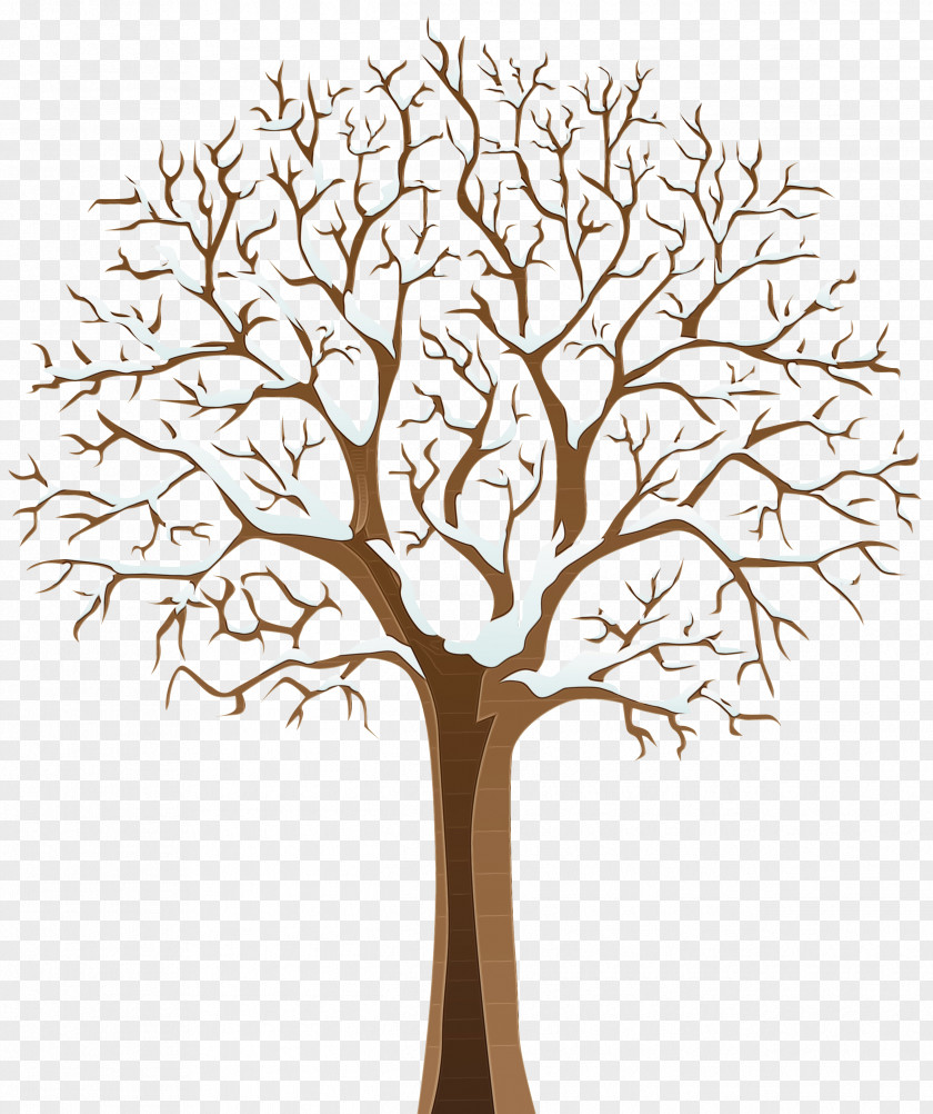 Oak Flower Tree Trunk Drawing PNG