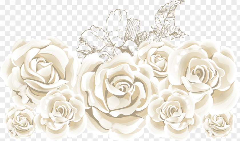 White Roses Rose Flower Stock Illustration PNG