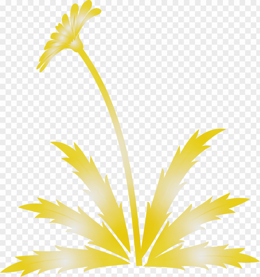 Yellow Leaf Plant Flower PNG