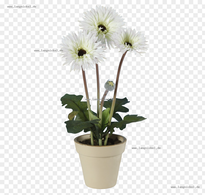 Chrysanthemum Transvaal Daisy Flowerpot Cut Flowers PNG