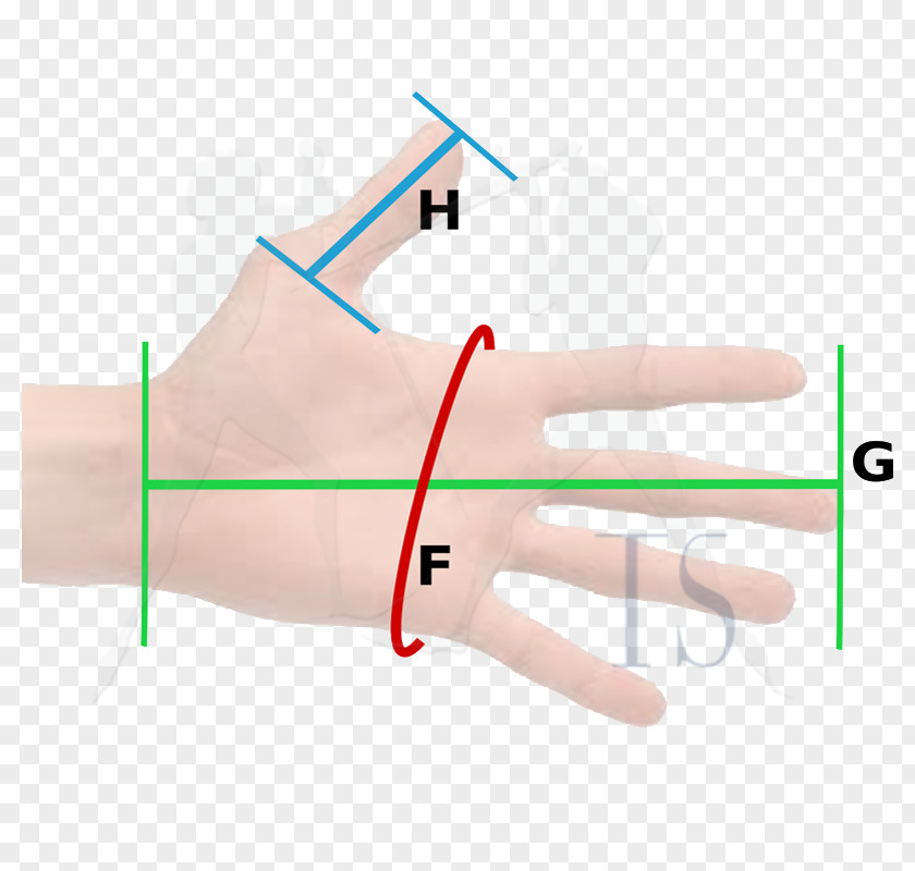 Line Thumb Hand Model Medical Glove PNG