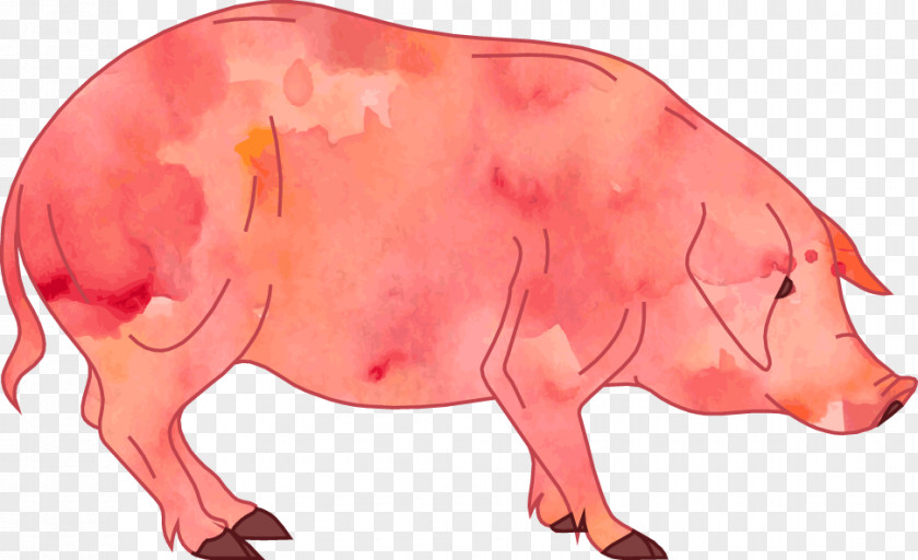 Pig Vector Watercolor Cartoon Clip Art PNG