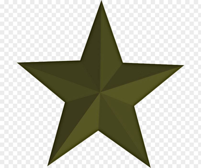 Symbol Plant Green Star Leaf Symmetry PNG