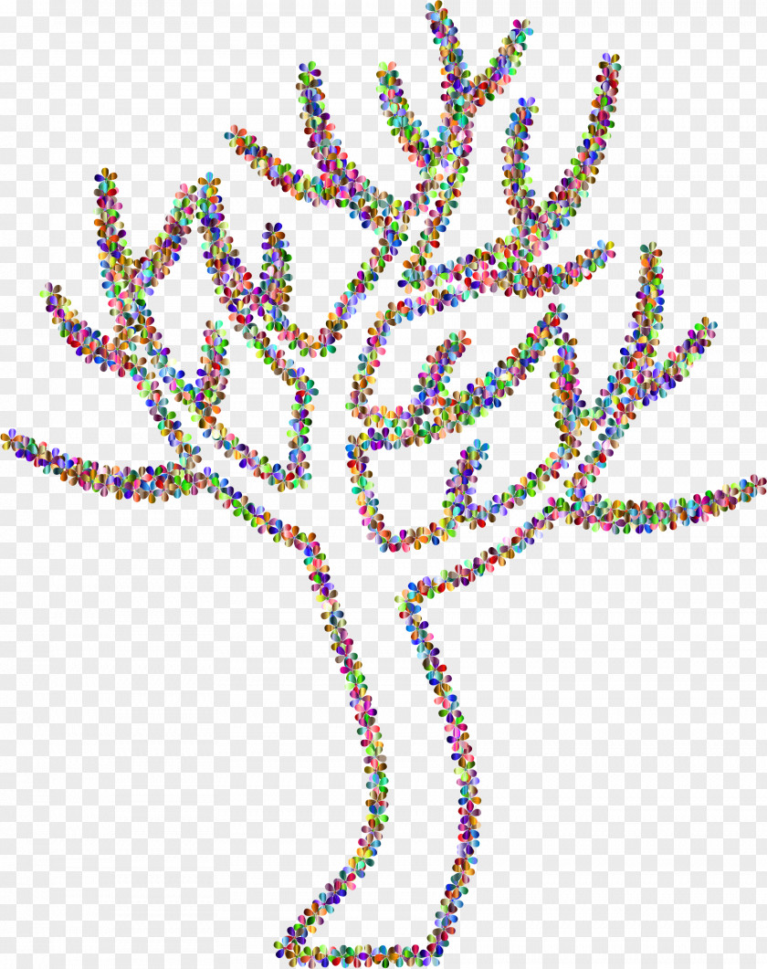 Tree Fruit Branch Desktop Wallpaper Evergreen PNG