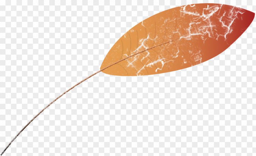 Viscera Leaf PNG