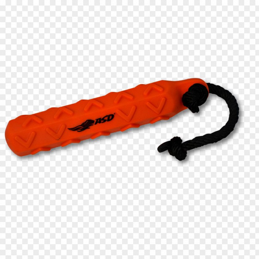 Dog Sporting Group Hunting Fetch Mallard PNG